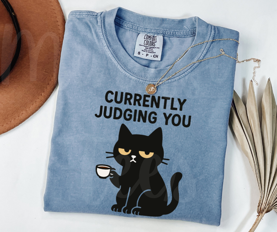 "Judging You" Sarcastic Cat Design Unisex heavyweight t-shirt