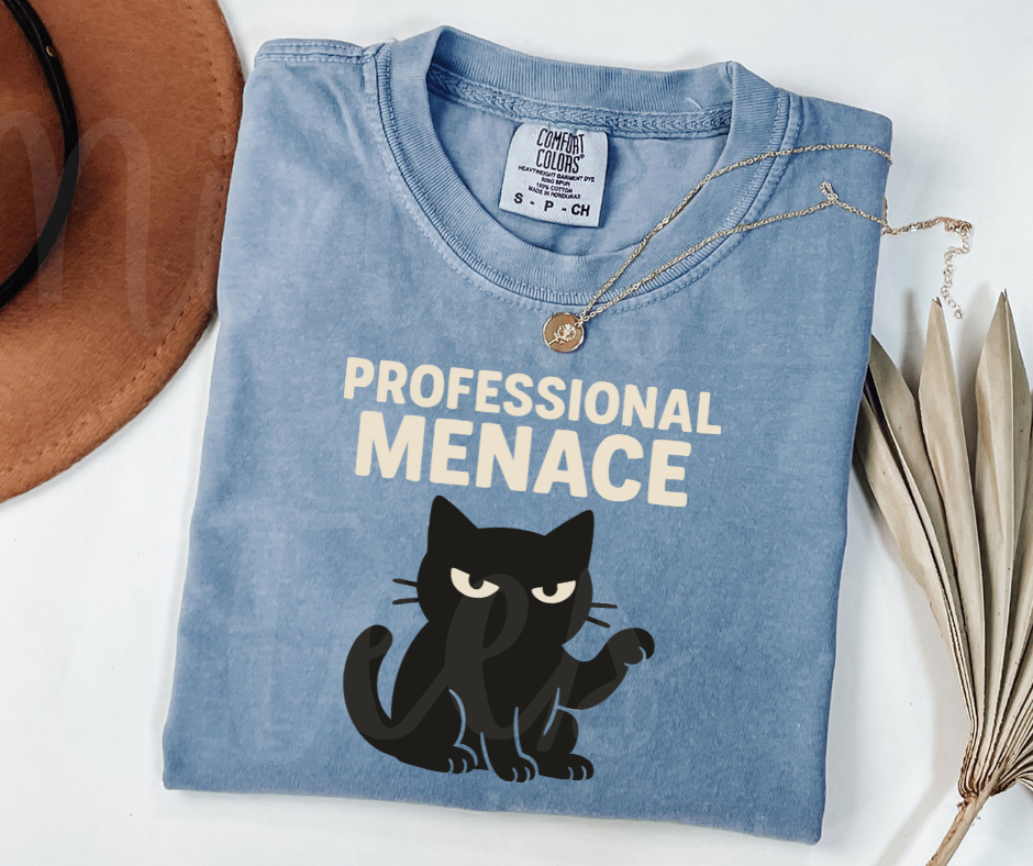 "Professional Menace" Sarcastic Cat Design Unisex heavyweight t-shirt
