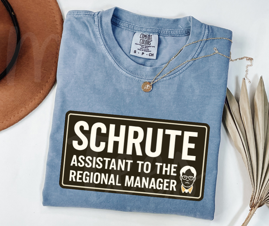 "Assistant To The Regional Manager" Sarcastic Design The Office Inspired Unisex heavyweight t-shirt