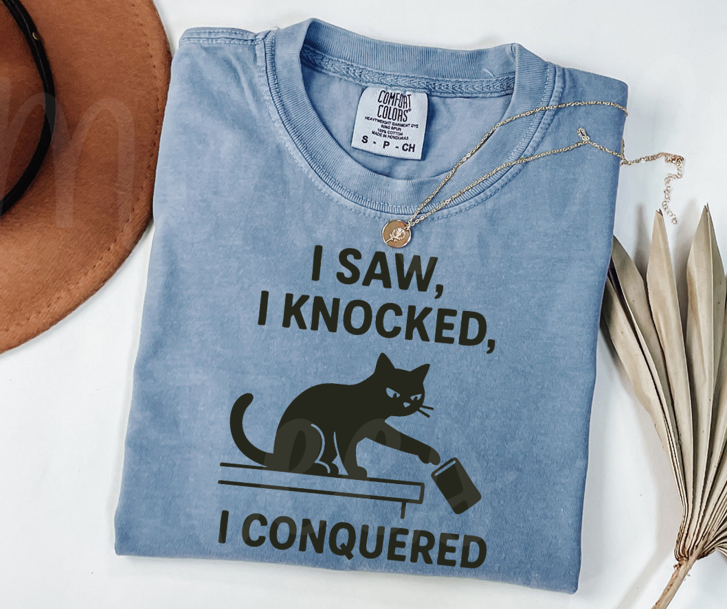 "I Saw I Knocked" Sarcastic Cat Design Unisex heavyweight t-shirt