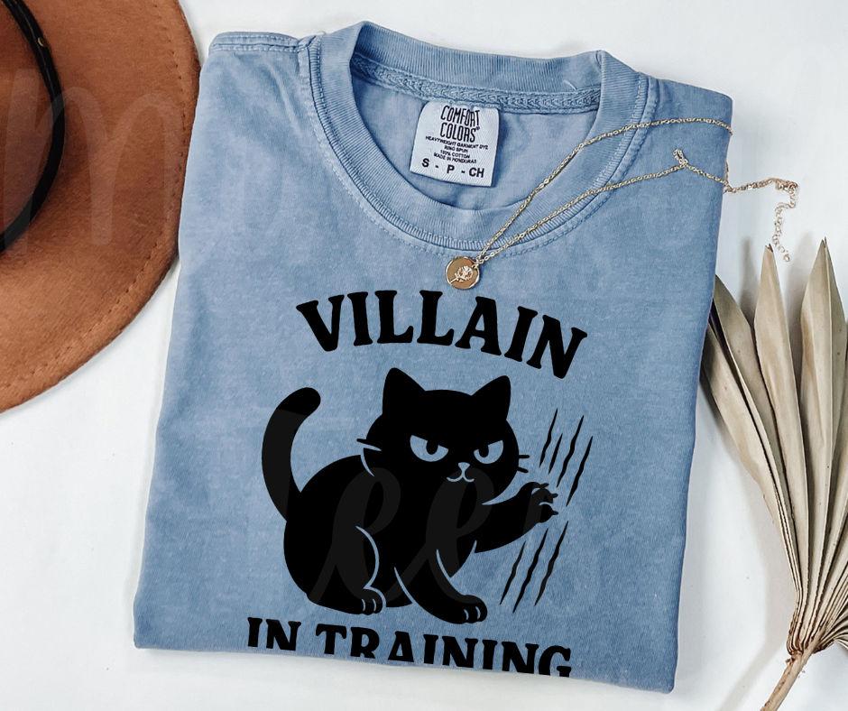 "Villain In Training" Sarcastic Cat Design Unisex heavyweight t-shirt