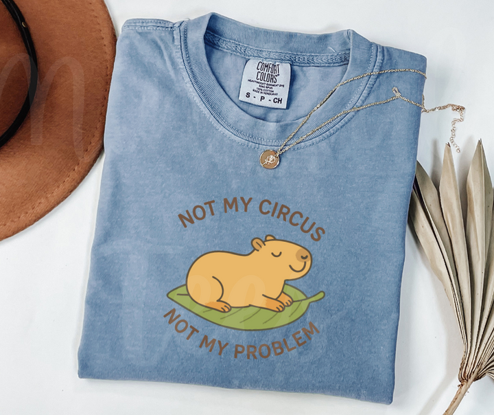 "Not My Circus" Sarcastic Design Unisex heavyweight t-shirt
