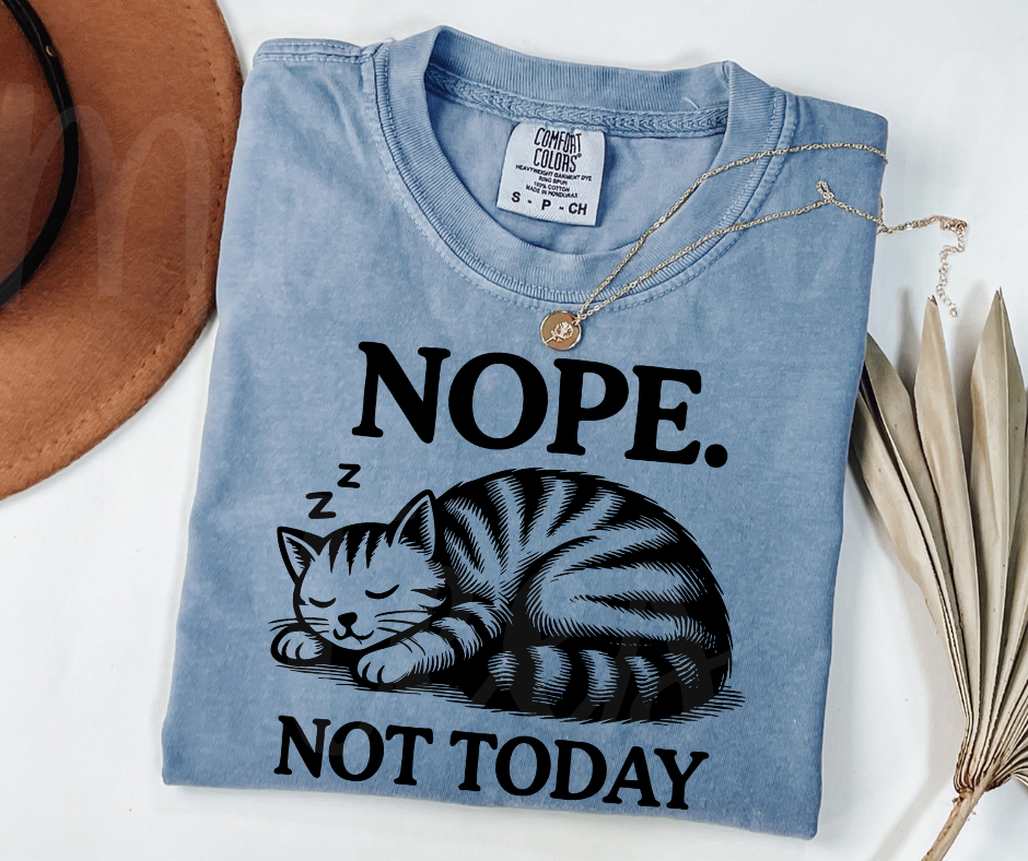 "Not Today" Sarcastic Cat Design Unisex heavyweight t-shirt