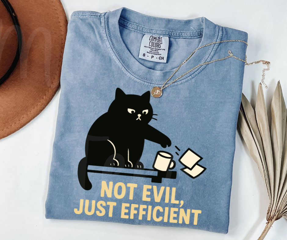 "Not Evil" Sarcastic Cat Design Unisex heavyweight t-shirt