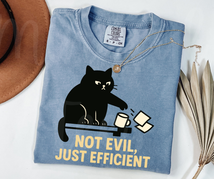 "Not Evil" Sarcastic Cat Design Unisex heavyweight t-shirt