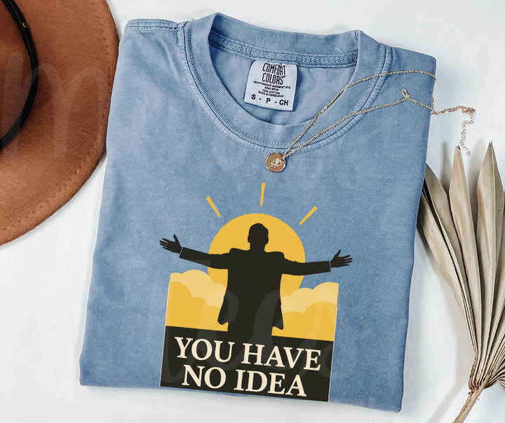 "You Have No Idea" Sarcastic Design The Office Inspired Unisex heavyweight t-shirt