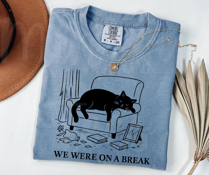 "We Were On A Break" Sarcastic Design Friends Inspired Unisex heavyweight t-shirt