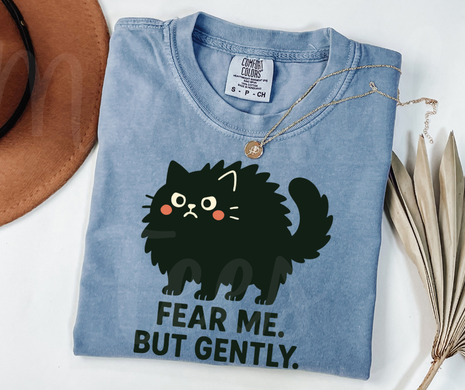 "Fear Me" Sarcastic Cat Design Unisex heavyweight t-shirt