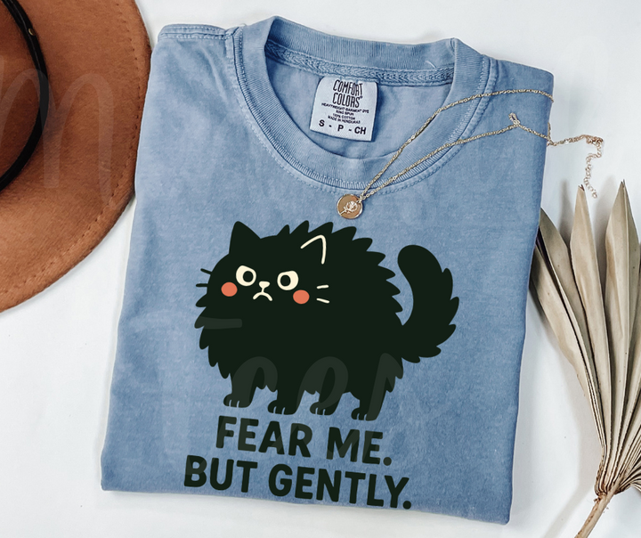 "Fear Me" Sarcastic Cat Design Unisex heavyweight t-shirt