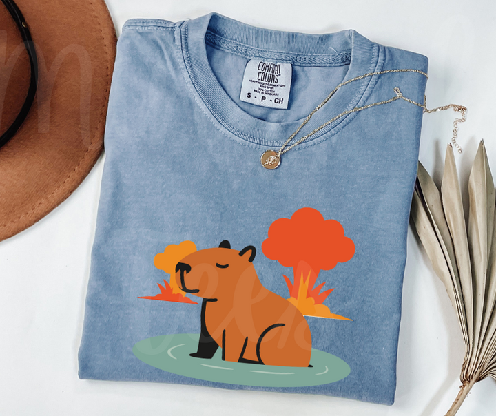 "Explosive Capybara" Sarcastic Design Unisex heavyweight t-shirt