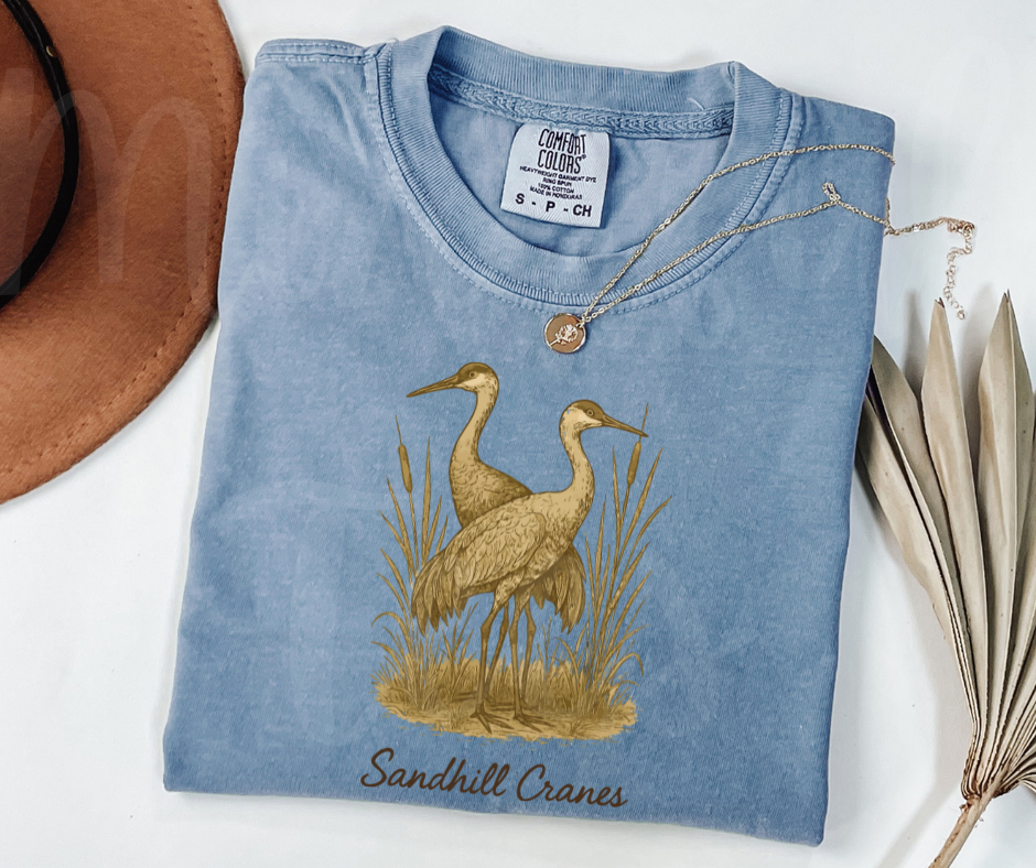 "Sandhill Cranes" Birdwatching Design Birds and Nature Inspired Unisex heavyweight t-shirt