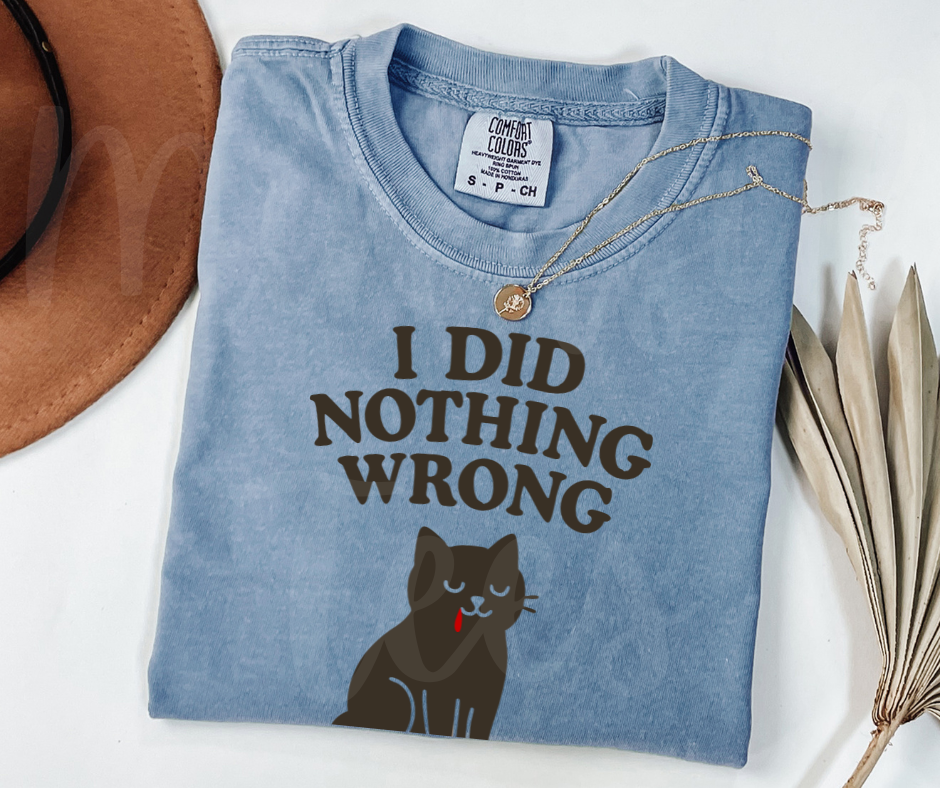 "I Did Nothing Wrong" Sarcastic Cat Design Unisex heavyweight t-shirt