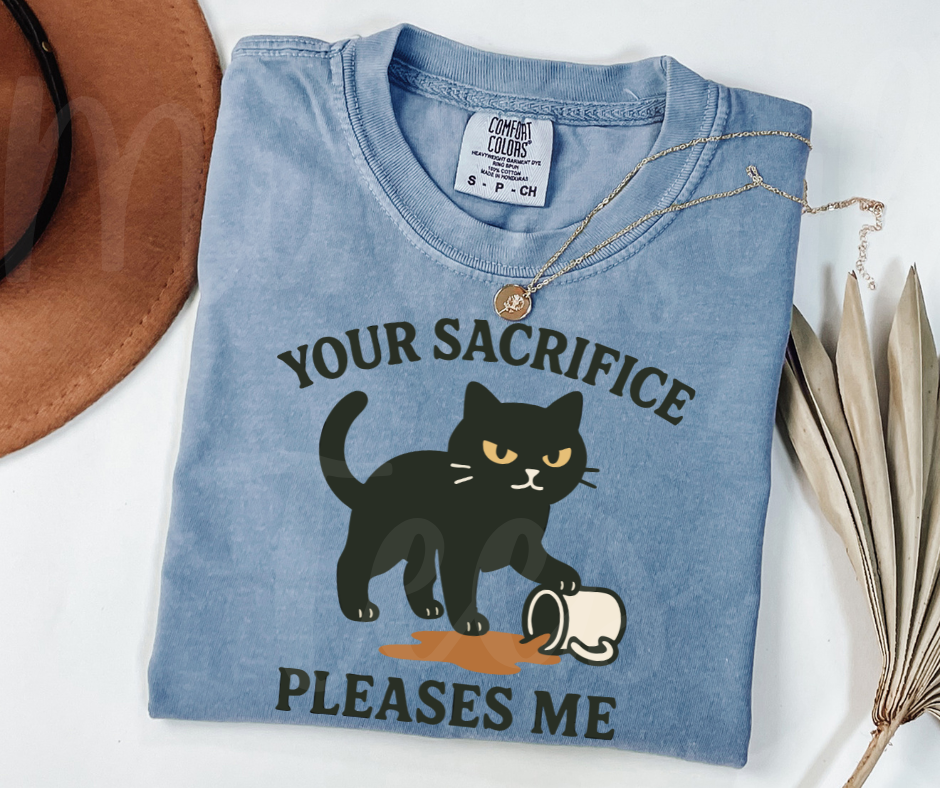 "Your Sacrifice Pleases Me" Sarcastic Cat Design Unisex heavyweight t-shirt