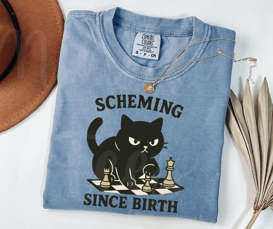 "Scheming" Sarcastic Cat Design Unisex heavyweight t-shirt