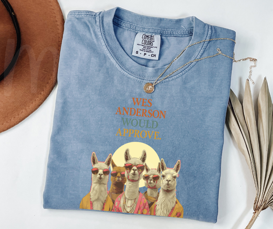 "Wes Anderson" Sarcastic Design Unisex heavyweight t-shirt