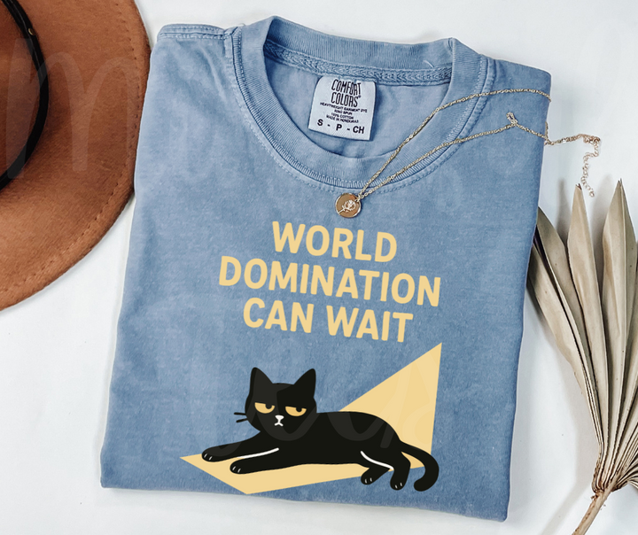 "World Domination Can Wait" Sarcastic Cat Design Unisex heavyweight t-shirt