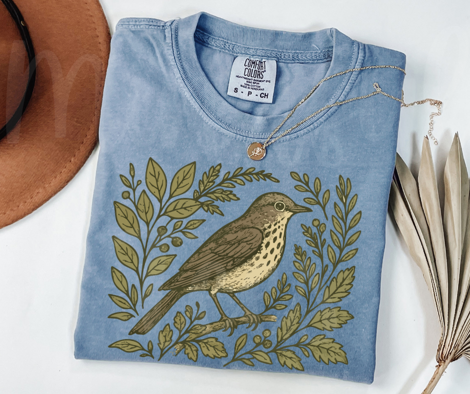 "Swainson's Thrush" Birdwatching Design Birds and Nature Inspired Unisex heavyweight t-shirt