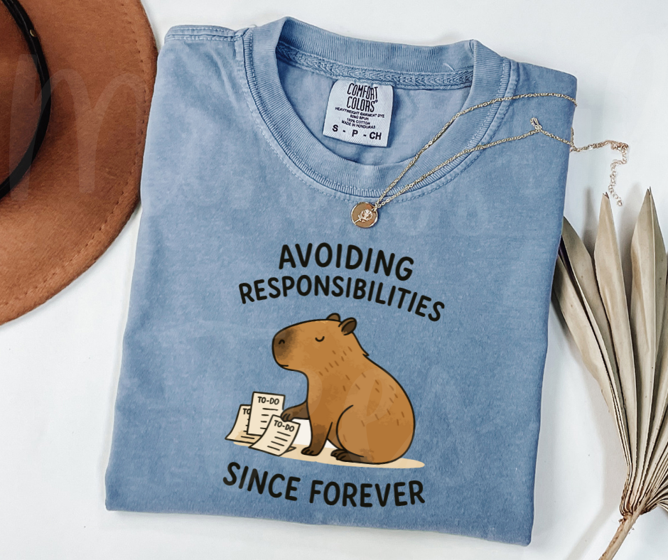"Avoiding Resposibilities" Sarcastic Design Unisex heavyweight t-shirt