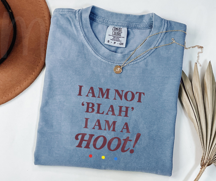 "I Am A Hoot!" Sarcastic Design Friends Inspired Unisex heavyweight t-shirt