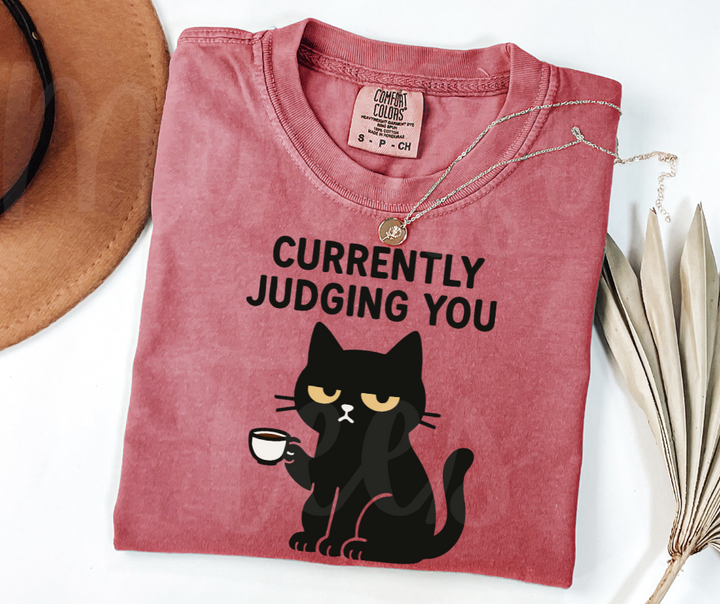"Judging You" Sarcastic Cat Design Unisex heavyweight t-shirt
