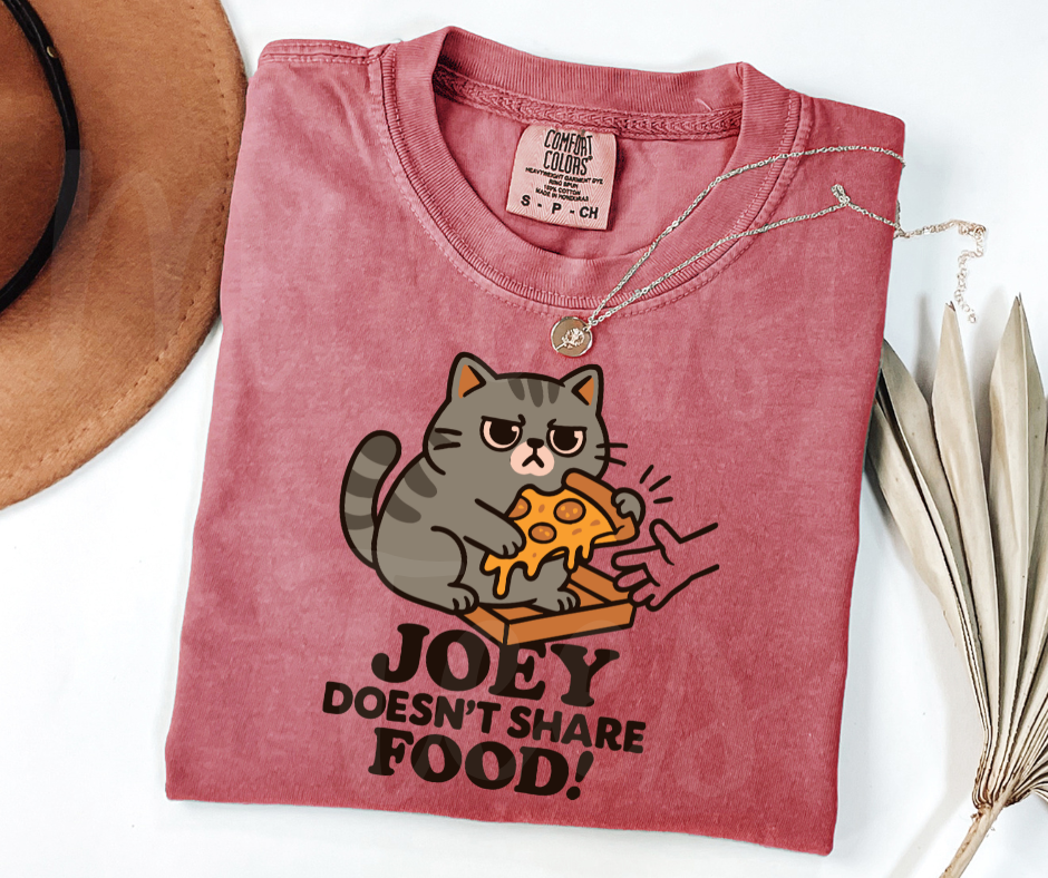 "Joey Doesn't Share Food" Sarcastic Design Friends Inspired Unisex heavyweight t-shirt