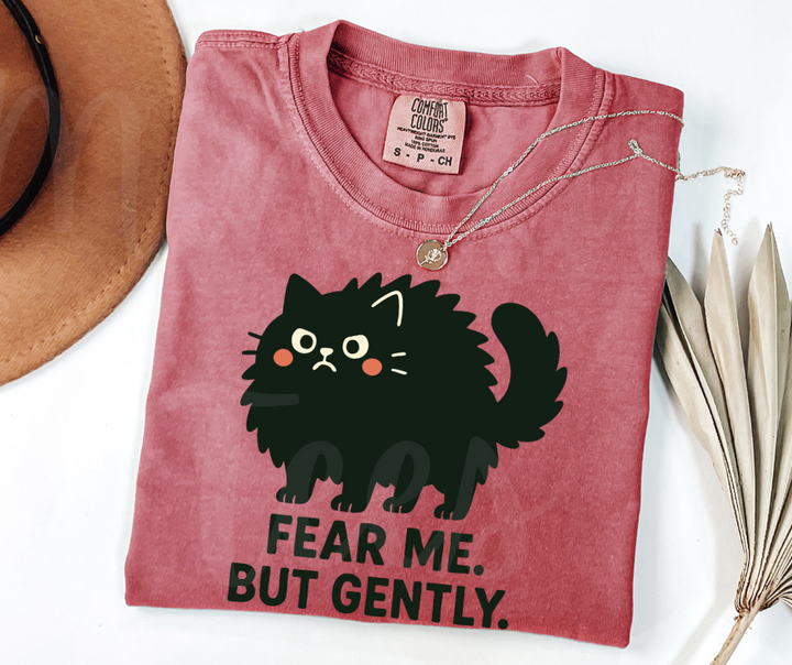 "Fear Me" Sarcastic Cat Design Unisex heavyweight t-shirt