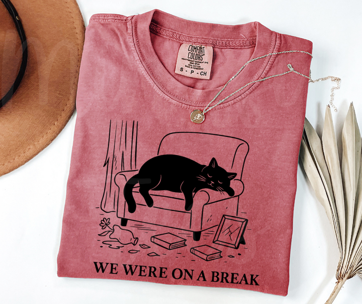 "We Were On A Break" Sarcastic Design Friends Inspired Unisex heavyweight t-shirt