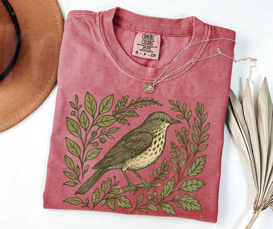 "Swainson's Thrush" Birdwatching Design Birds and Nature Inspired Unisex heavyweight t-shirt