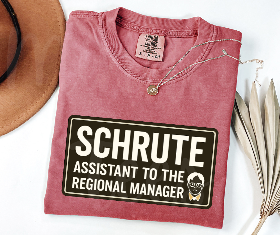 "Assistant To The Regional Manager" Sarcastic Design The Office Inspired Unisex heavyweight t-shirt
