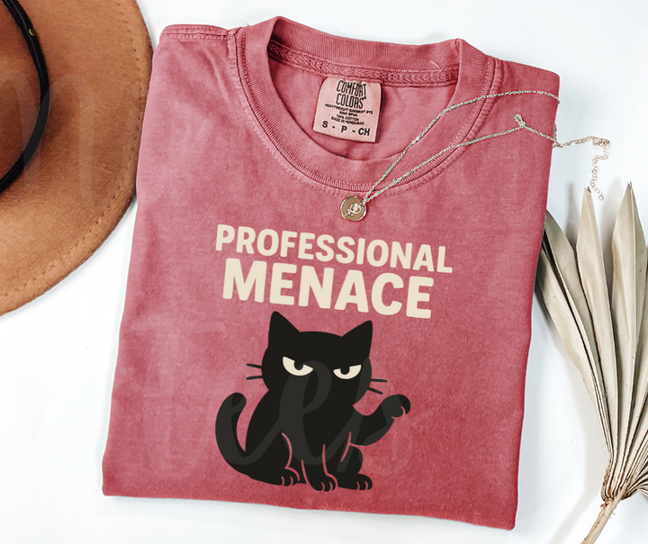 "Professional Menace" Sarcastic Cat Design Unisex heavyweight t-shirt
