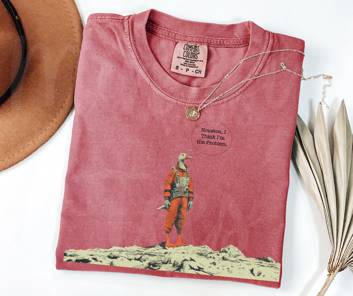 "Houston" Sarcastic Design Unisex heavyweight t-shirt