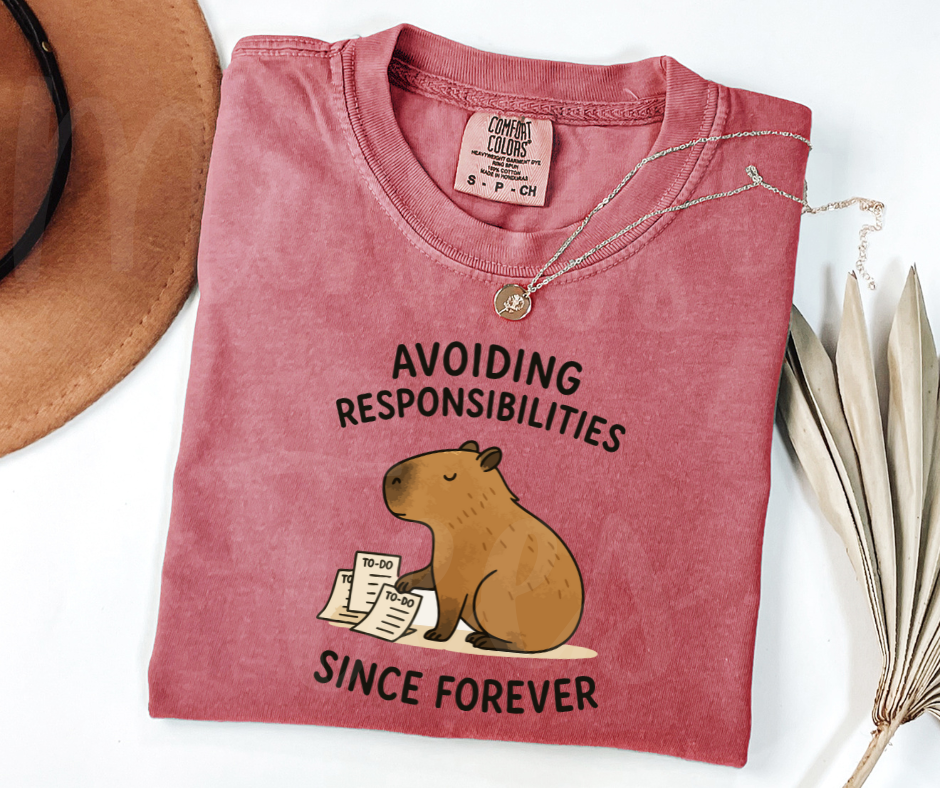 "Avoiding Resposibilities" Sarcastic Design Unisex heavyweight t-shirt