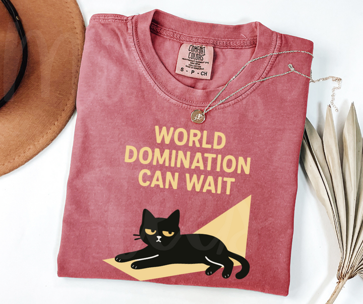 "World Domination Can Wait" Sarcastic Cat Design Unisex heavyweight t-shirt