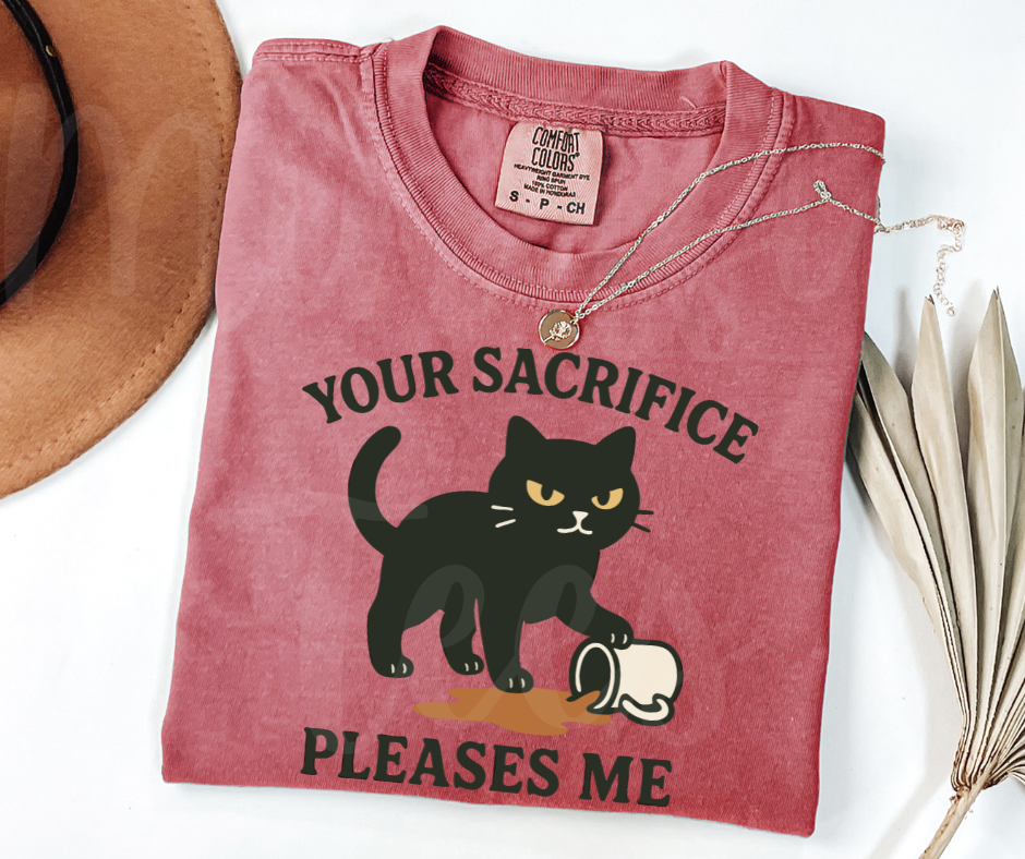 "Your Sacrifice Pleases Me" Sarcastic Cat Design Unisex heavyweight t-shirt