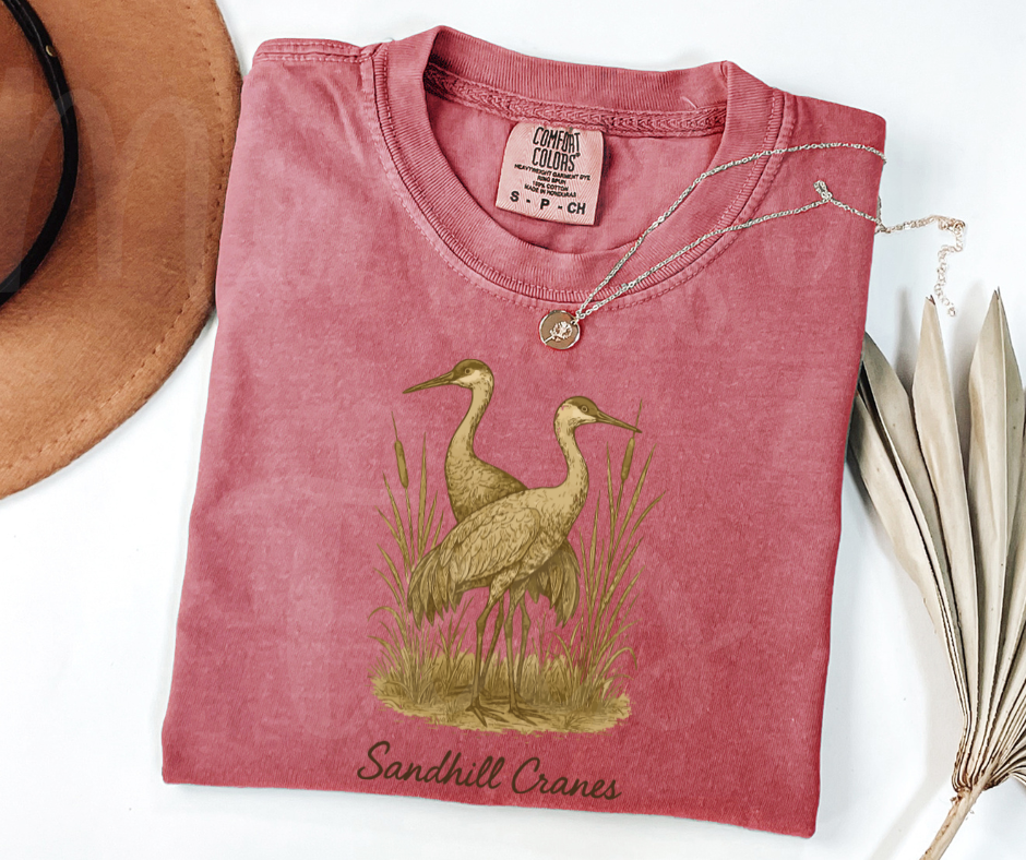 "Sandhill Cranes" Birdwatching Design Birds and Nature Inspired Unisex heavyweight t-shirt