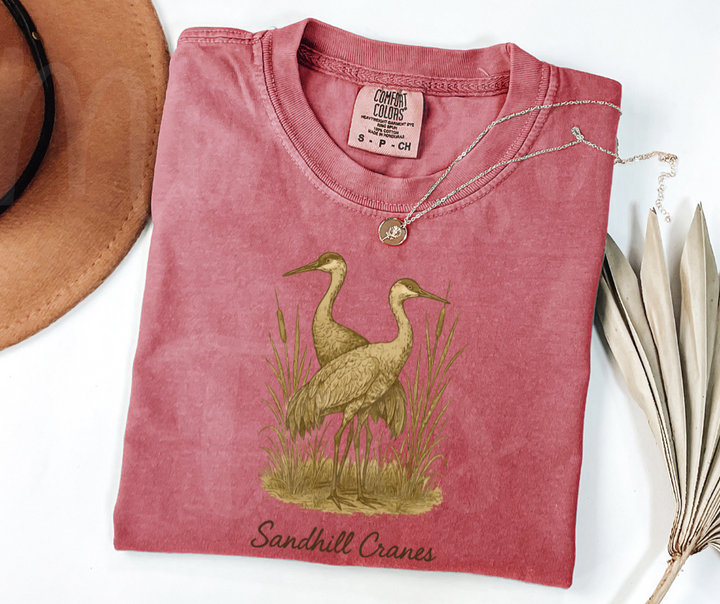 "Sandhill Cranes" Birdwatching Design Birds and Nature Inspired Unisex heavyweight t-shirt