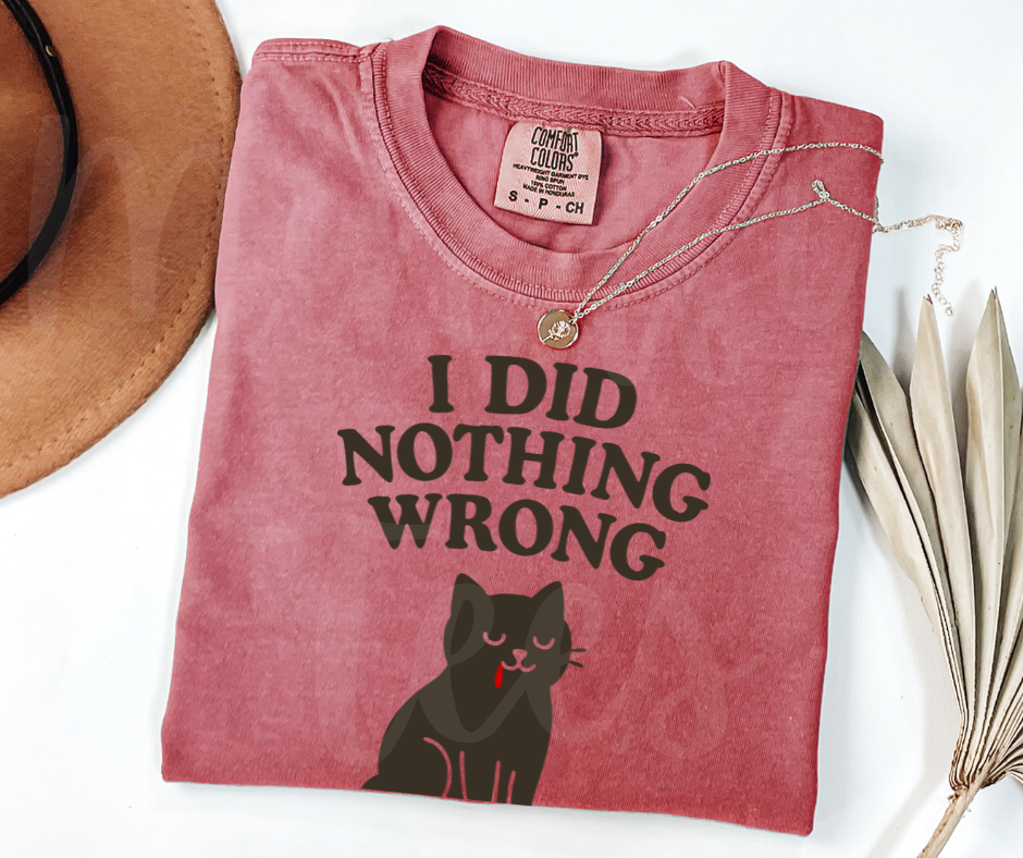 "I Did Nothing Wrong" Sarcastic Cat Design Unisex heavyweight t-shirt