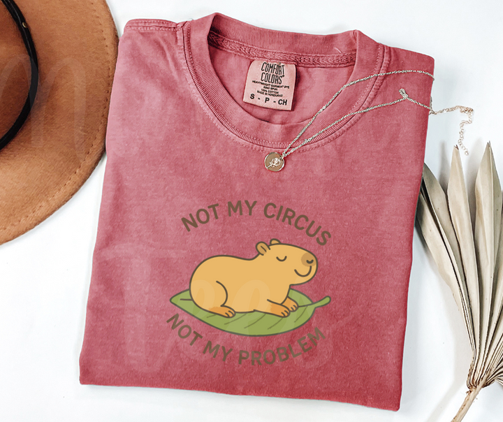 "Not My Circus" Sarcastic Design Unisex heavyweight t-shirt