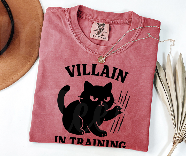 "Villain In Training" Sarcastic Cat Design Unisex heavyweight t-shirt