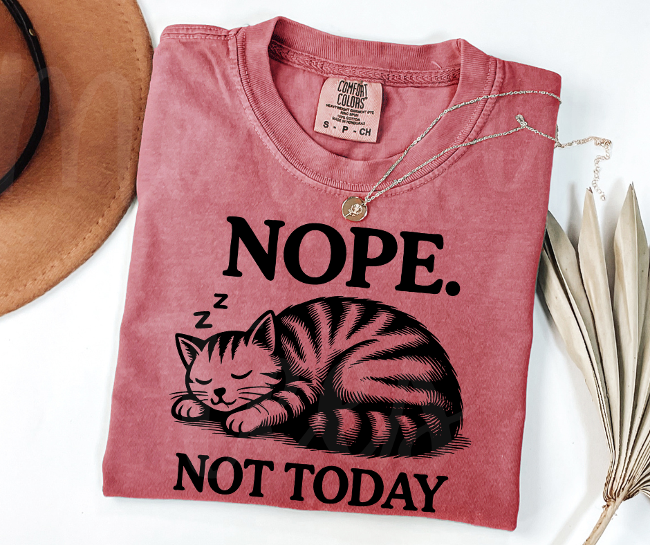 "Not Today" Sarcastic Cat Design Unisex heavyweight t-shirt