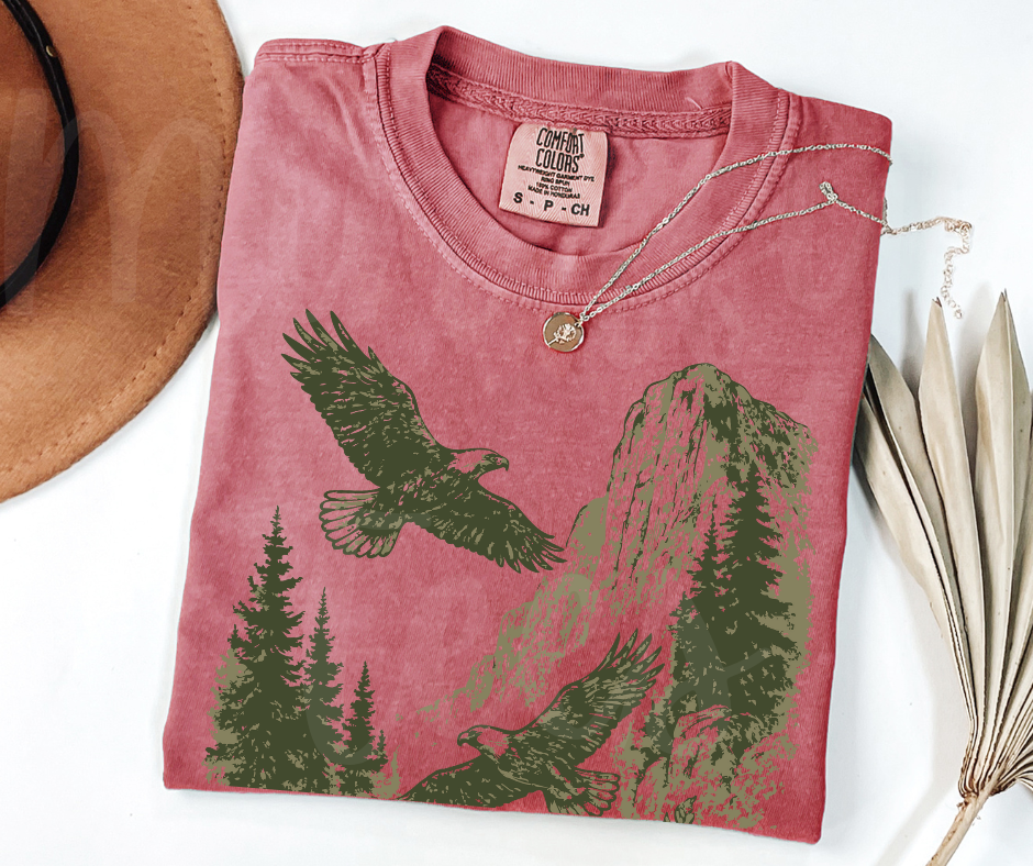 "Eagles" Birdwatching Design Birds and Nature Inspired Unisex heavyweight t-shirt
