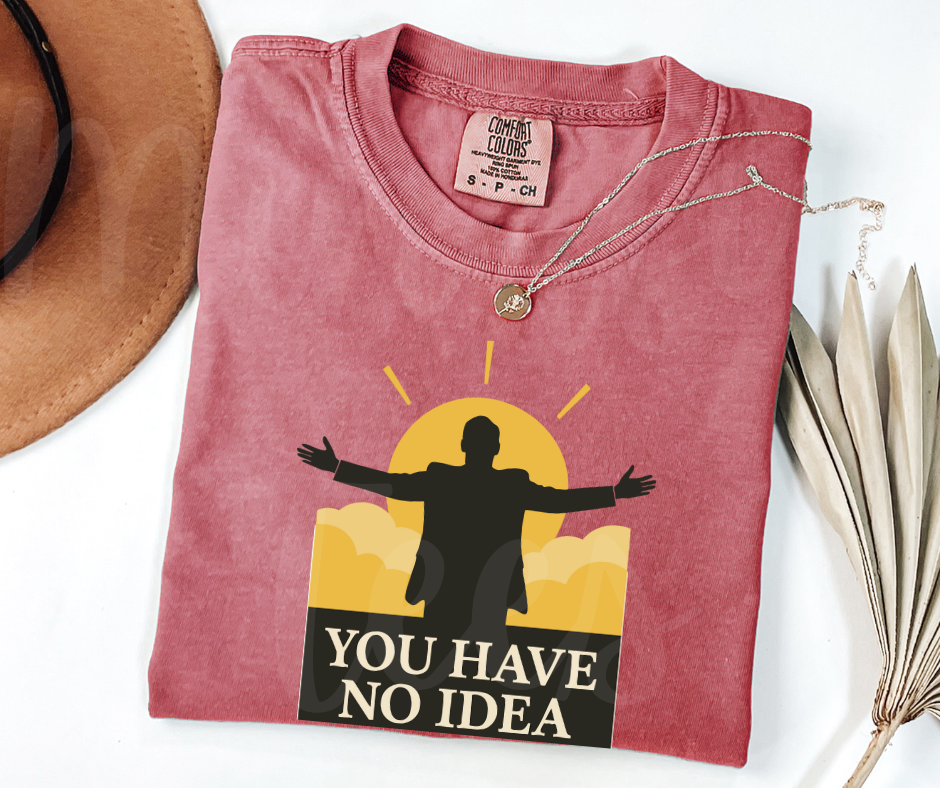 "You Have No Idea" Sarcastic Design The Office Inspired Unisex heavyweight t-shirt