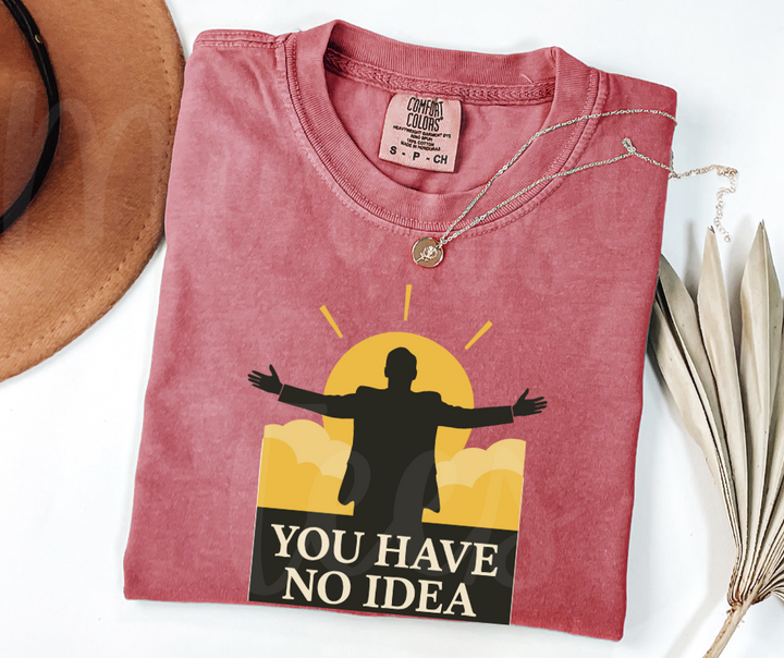 "You Have No Idea" Sarcastic Design The Office Inspired Unisex heavyweight t-shirt