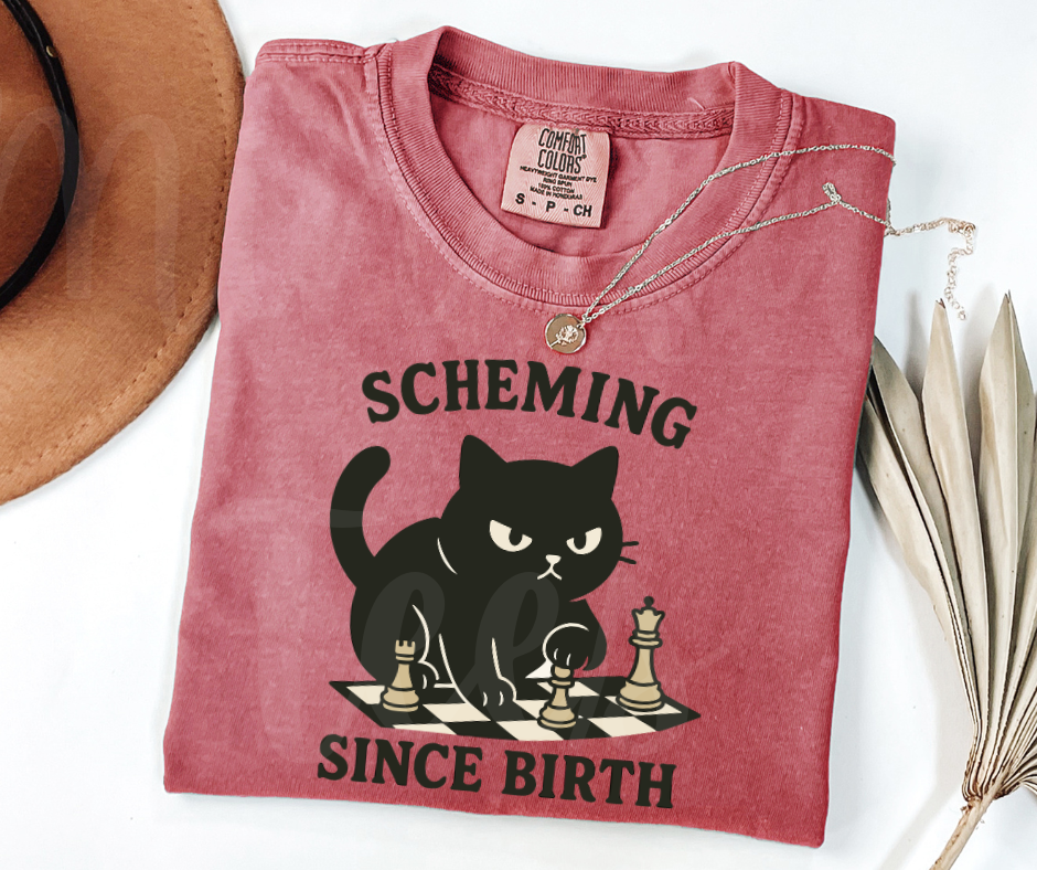 "Scheming" Sarcastic Cat Design Unisex heavyweight t-shirt
