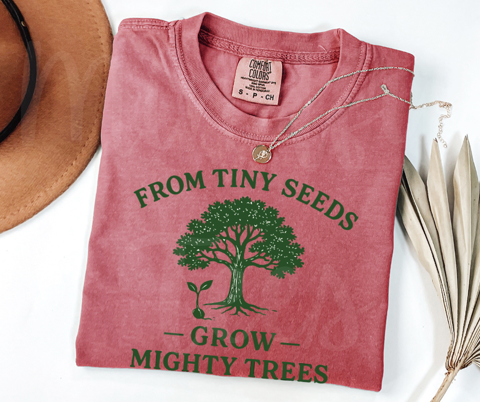 "From Tiny Seeds" Funny Plant Lover Tee Design Unisex heavyweight t-shirt