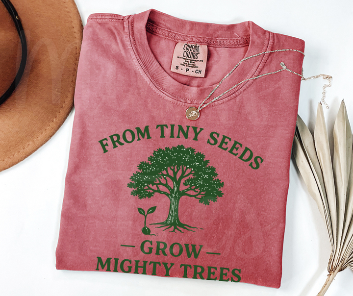 "From Tiny Seeds" Funny Plant Lover Tee Design Unisex heavyweight t-shirt