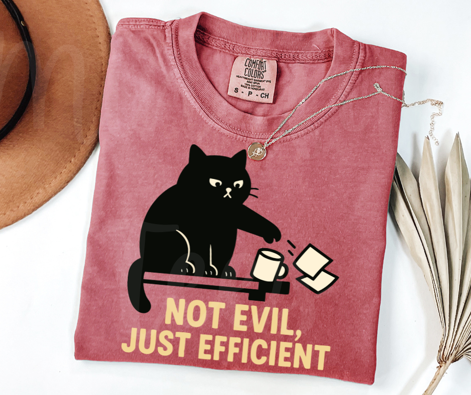 "Not Evil" Sarcastic Cat Design Unisex heavyweight t-shirt