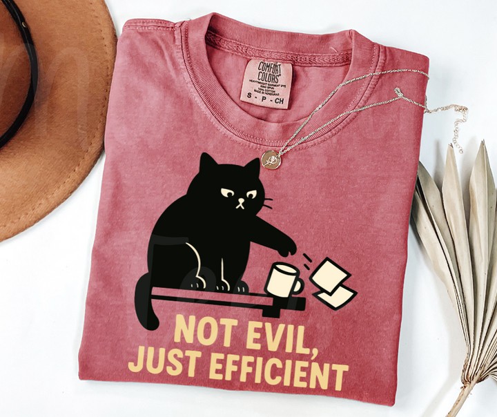 "Not Evil" Sarcastic Cat Design Unisex heavyweight t-shirt