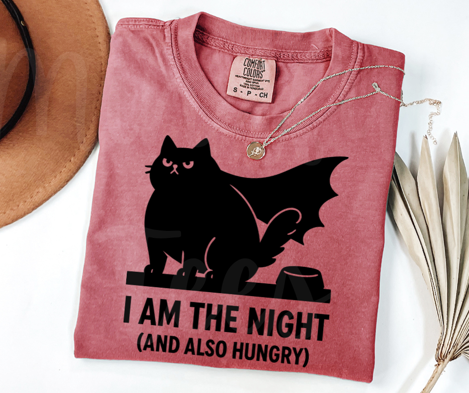 "I Am The Night" Sarcastic Cat Design Unisex heavyweight t-shirt