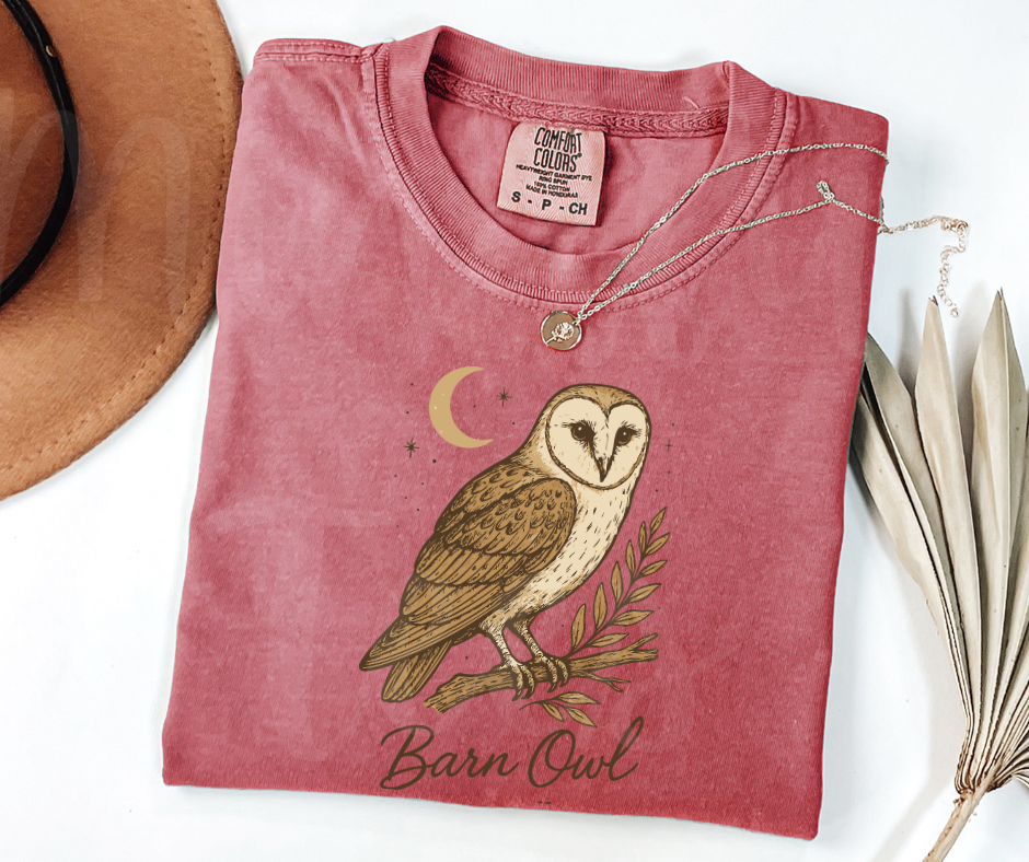 "Barn Owl" Birdwatching Design Birds and Nature Inspired Unisex heavyweight t-shirt